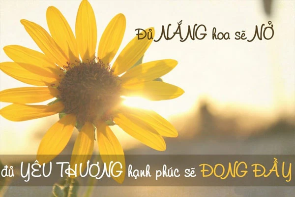 STT yêu đời giúp bạn vượt qua khó khăn cuộc sống