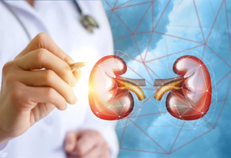 Nhận diện và điều trị thận yếu hiệu quả