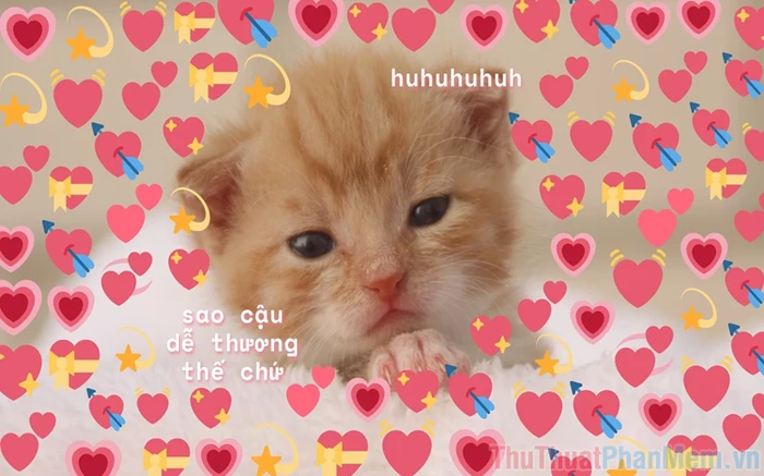 Khám Phá Meme Yêu: Hài Hước Trong Tình Yêu