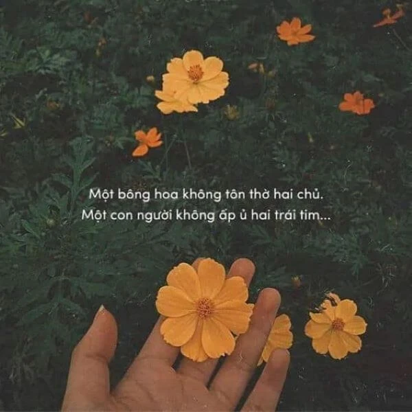 Cap thả thính đáng yêu cho trái tim dễ thương