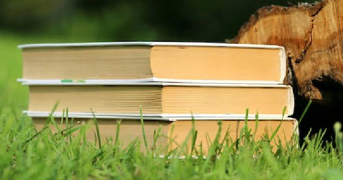 Tình Cha Con Qua Bài Thơ Con Là của Y Phương