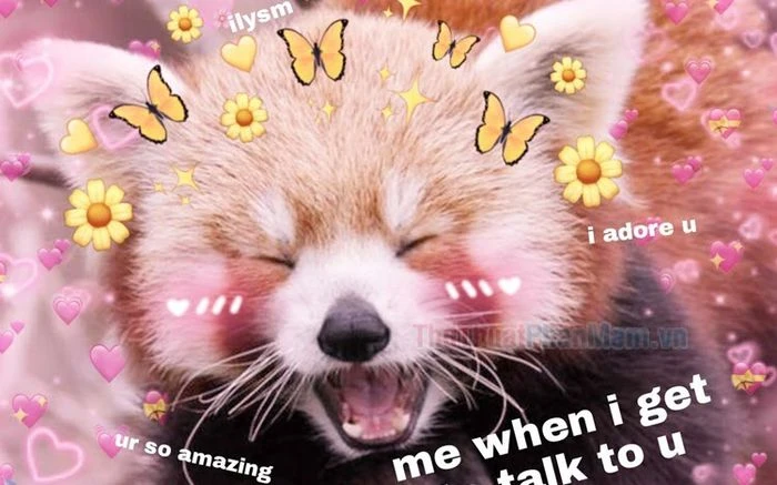 Khám Phá Meme Yêu Thương: Hài Hước Và Cảm Xúc Gắn Kết