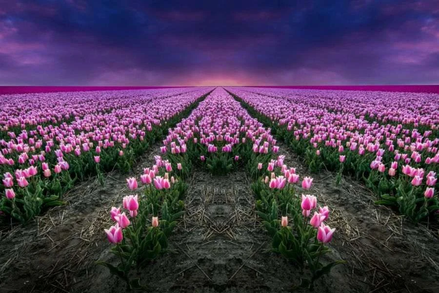 Caption yêu đời: Thông điệp tích cực dành cho bạn