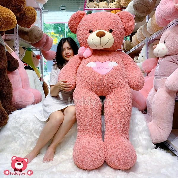Khám Phá Gấu Teddy Thân Yêu - Biểu Tượng Tình Yêu