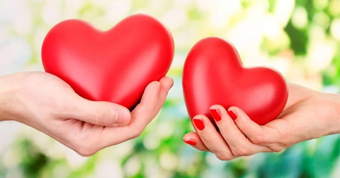 Soạn bài yêu và đồng cảm trong nghệ thuật hiện đại