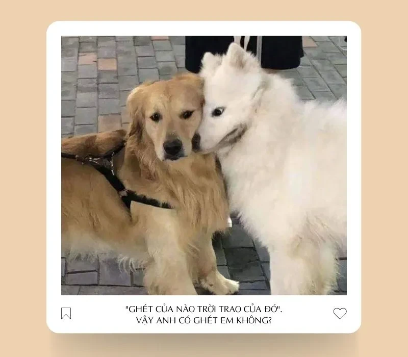 Những câu hỏi về tình yêu giúp hiểu nhau hơn