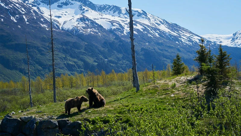 Hình nền tình yêu: 50 mẫu hình nền ngọt ngào, tải miễn phí